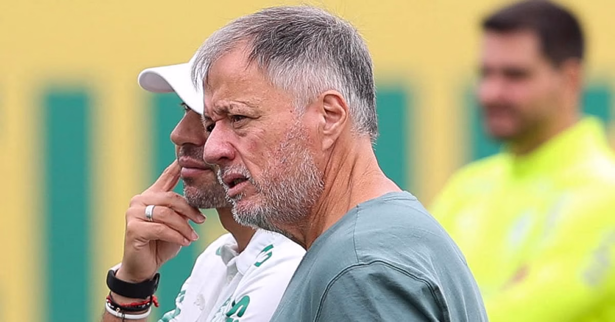Quais posições o Palmeiras deve buscar reforços para o segundo semestre?