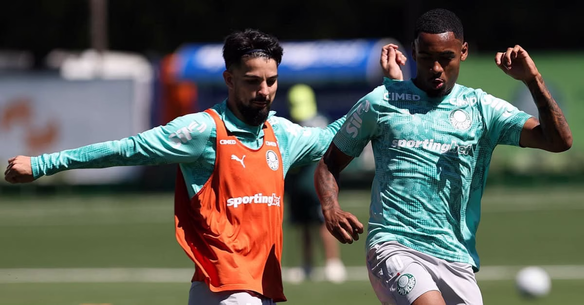 Palmeiras pode ter até 5 reforços para enfrentar o Vitória