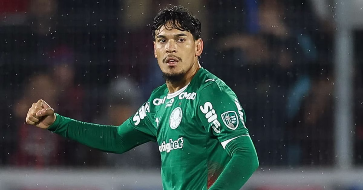 Gómez comemora classificação: “Se não conseguir na técnica, tem que ser na raça” – Palmeiras Todo Dia